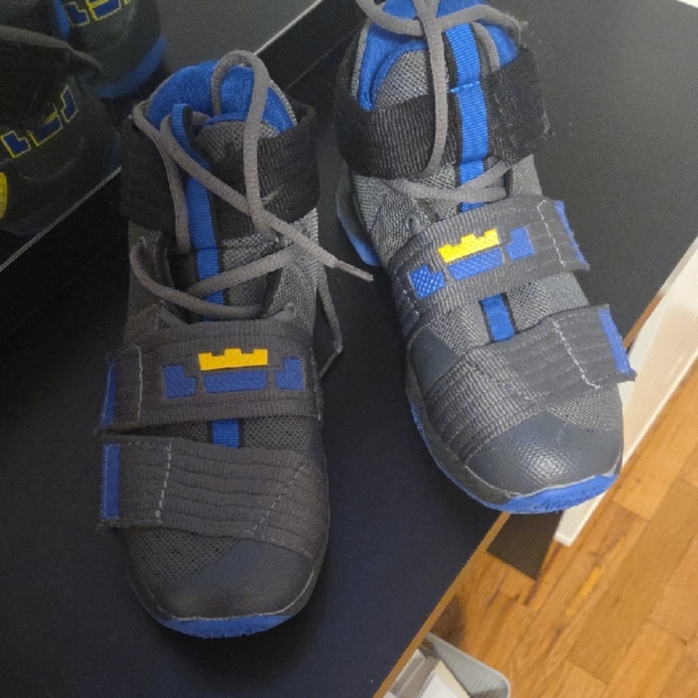 Womans Labrons